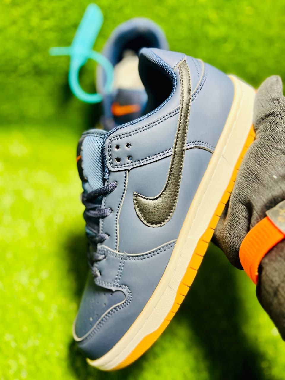 The SB Dunk