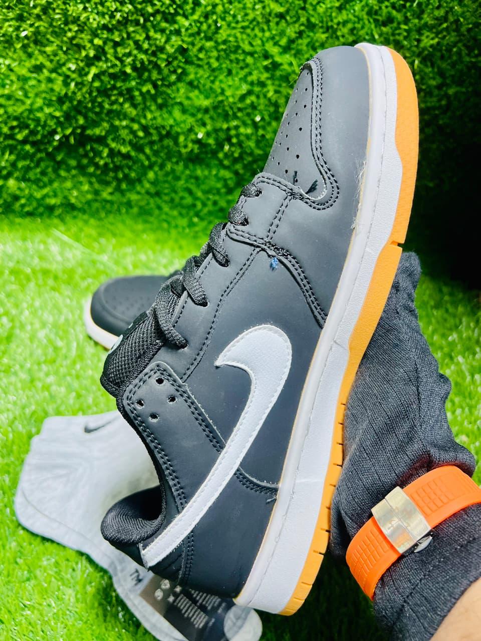 The SB Dunk